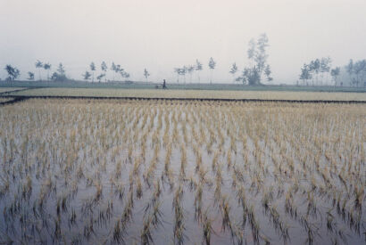 BRIAN BRAKE Chengtu Agriculture, China