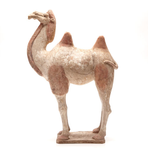 A Tang Dynasty Camel