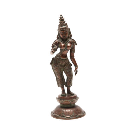 A 14th Century -16th Century Antique Indian Bronze Figure Depicting Graceful Parvati on a Lotus