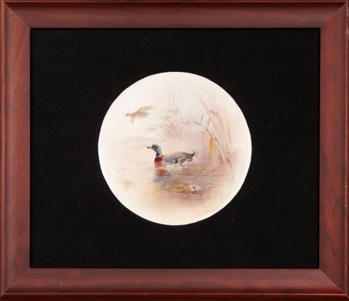 A Framed Royal Worcester James Stinton Duck Plaque 