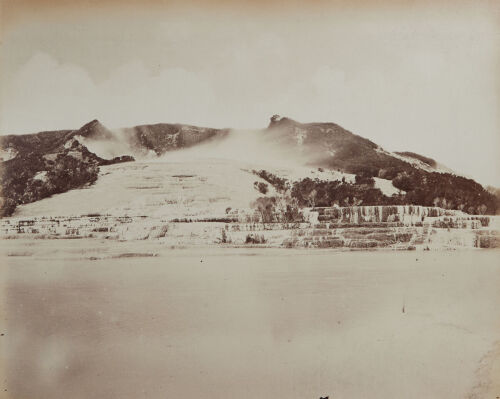PHOTOGRAPHER UNKNOWN White Terrace- General View