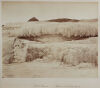 PHOTOGRAPHER UNKNOWN White Terrace- Section of Tattooed Rocks - 2