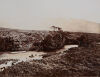 WHEELER AND SON Pink Terrace, Rotomahana; Tongariro by the Waikato - 3