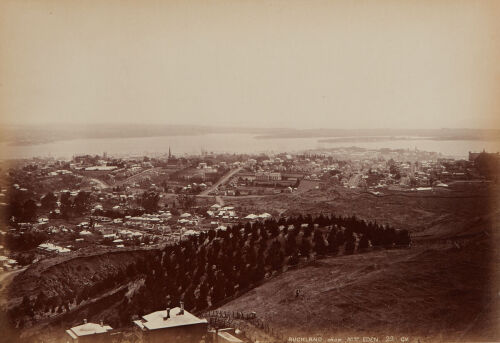 GEORGE VALENTINE Auckland from Mt Eden