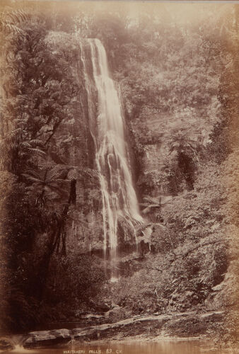 GEORGE VALENTINE Waitakeri [sic] Falls
