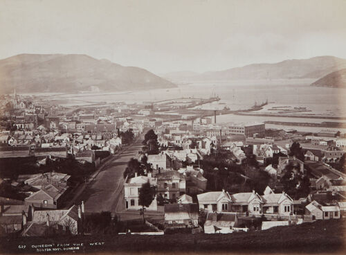 BURTON BROS Dunedin from the West