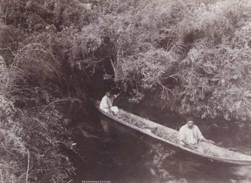 PHOTOGRAPHER UNKNOWN Haumarana Spring