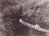 PHOTOGRAPHER UNKNOWN Haumarana Spring