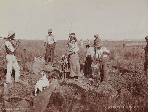 A J NORTHWOOD Maori Gum Diggers
