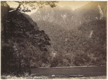 PHOTOGRAPHER UNKNOWN South Arm, George Sound, NZ