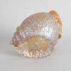 A Loetz Art Nouveau Iridescent Conch Shell Vase - 3