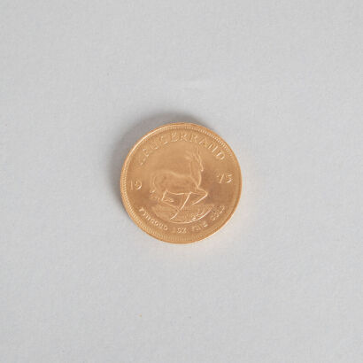 A 1982 1oz Krugerrand Coin