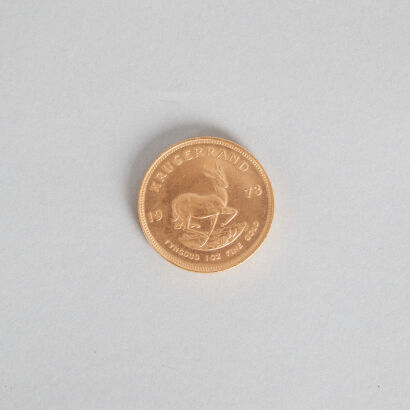 A 1973 1oz Krugerrand Coin