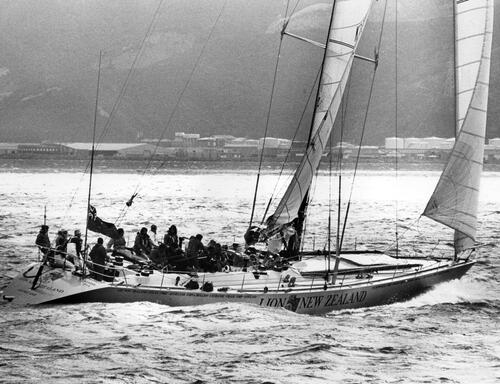 DON ROY Lion New Zealand leaves Wellington
