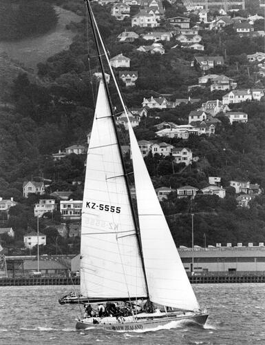 DON ROY Lion New Zealand leaves Wellington