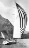 PHOTOGRAPHER UNKNOWN Lion New Zealand passing through Milford Sound