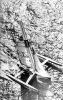 PHOTOGRAPHER UNKNOWN Steinlager One sails toward the finish line of the Transfield two-handed yacht race in Auckland Harbour