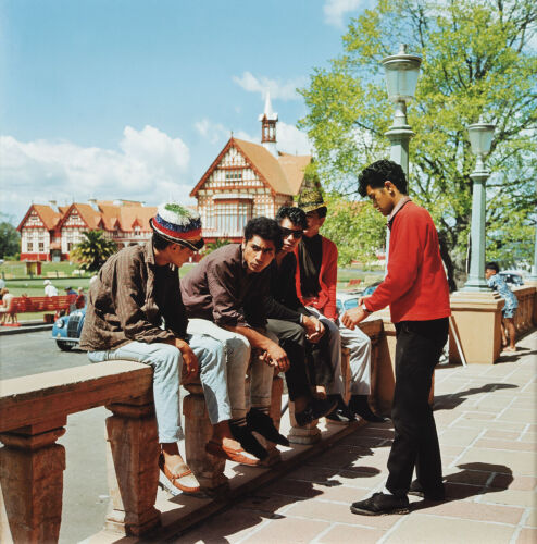 ANS WESTRA Government Gardens, Rotorua