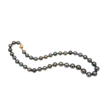 A Strand of Tahitian Pearls