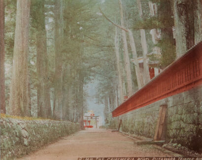 PHOTOGRAPHER UNKNOWN Criptmeria Road Futawara Temple, Nikko