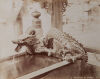 PHOTOGRAPHER UNKNOWN Waterfatt at Kiyomizu, Kioto