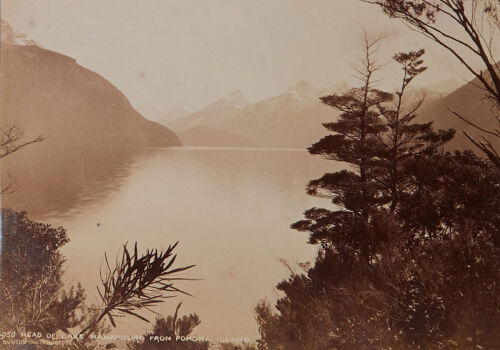 BURTON BROTHERS Head of Lake Manapouri from Pomona Island