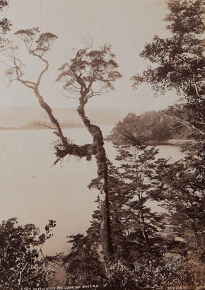 BURTON BROTHERS Cuttle Cove, Preservation Inlet