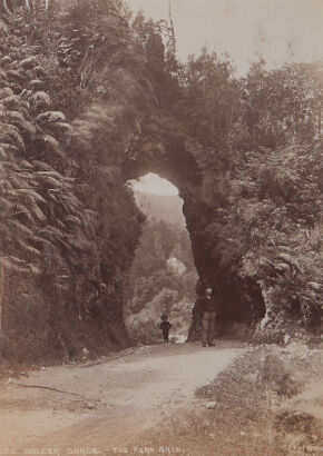 BURTON BROTHERS Buller Gorge - Fern Arch