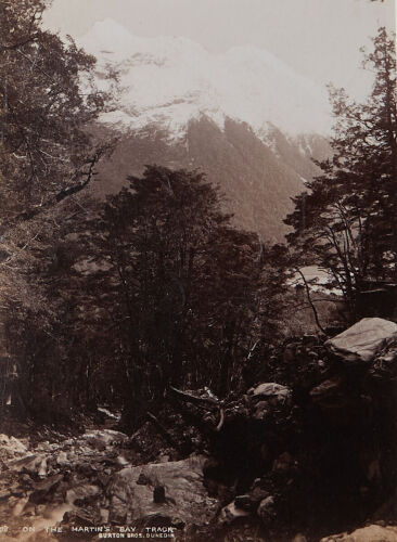 BURTON BROTHERS On the Martin's Bay Track, Southern Alps