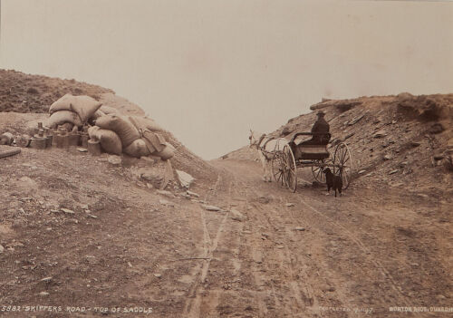 BURTON BROTHERS Skippers Road - Top of Saddle