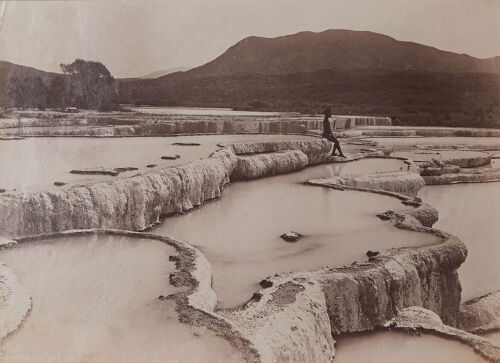 BURTON BROTHERS The Hot Water Basin and White Terrraces, Rotorua