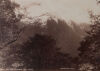 BURTON BROTHERS On the Martin's Bay Track, Southern Alps