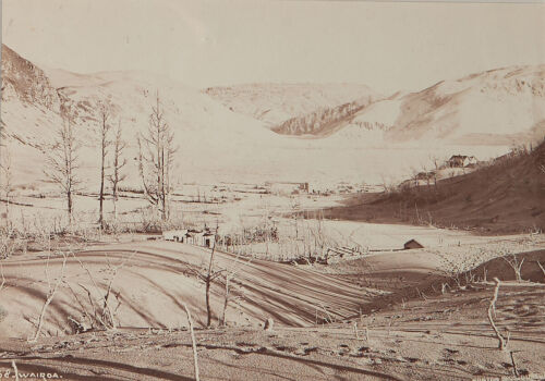 BURTON BROTHERS Wairoa - After the Eruption of Mount Tarawera