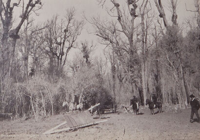 JOSIAH MARTIN Entrance to Tiketapu Bush After Eruption