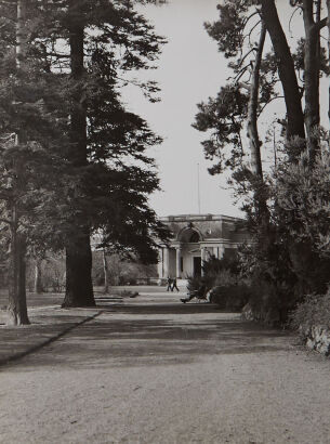 VICTOR C. BROWNE South Island, Parkland Scene