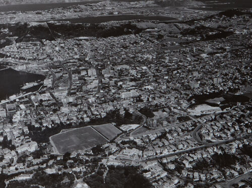 VICTOR C. BROWNE Wellington City from Air Showing University