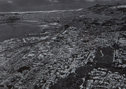 VICTOR C. BROWNE Dunedin & Otago Harbour - Aerial view