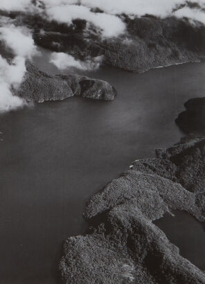 VICTOR C. BROWNE Lake Manapouri from Air