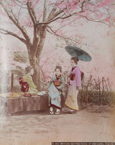 PHOTOGRAPHER UNKNOWN Wayside Resting Place at Mukojima, Tokyo