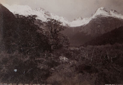 BURTON BROTHERS On the Route Burn - Martin's Bay Track