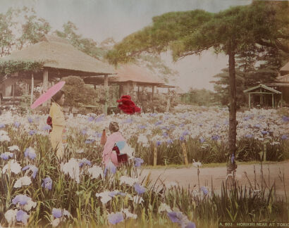 PHOTOGRAPHER UNKNOWN Horikiri (Flower Garden) near Tokyo