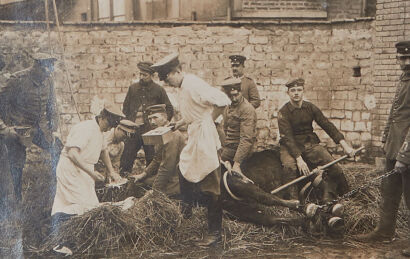 PHOTOGRAPHER UNKNOWN Vets Treat a Wounded Horse Behind German Lines World War 1