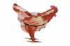JEFF THOMSON Chicken