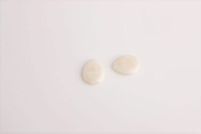 A Pair of loose 11.30ct Cabochon Opals
