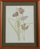 CHARLES RENNIE MACKINTOSH Fritillaria - 2