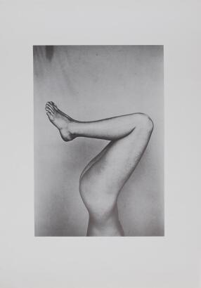 PETER PERYER Untitled (Legs)