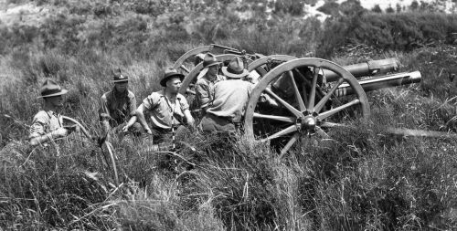 HOWITZER ARTILLERY GUNS IN ACTION