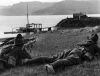 NEW ZEALAND EXPEDITIONARY FORCE TROOPS AT MOCK BATTLE AT LYTTELTON