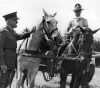 ARTILLERY TROOPS HORSE AT BURNHAM