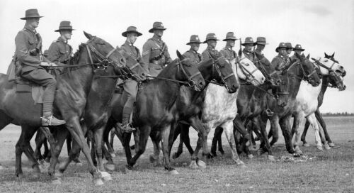 MILITARY CAMP AT WAIPARA